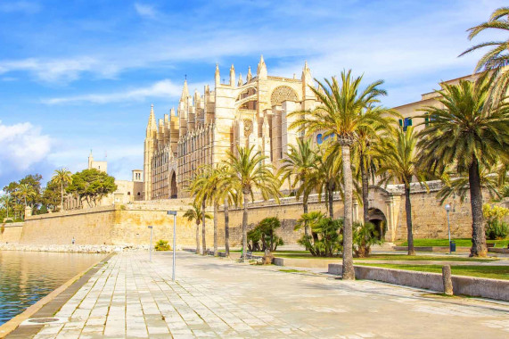 10 Curiosit Su Palma Di Maiorca Che Ti Lasceranno Di Stucco 