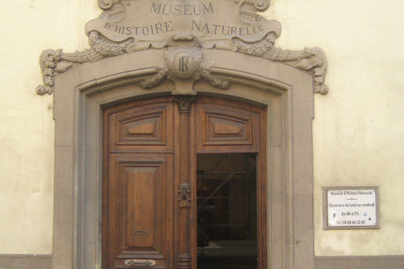 Muséum d'histoire naturelle de Perpignan Perpignan