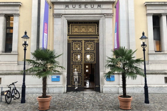 Naturhistorisches Museum Basel