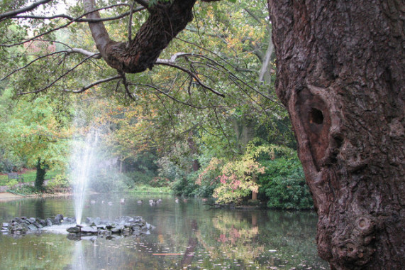 The Arboretum