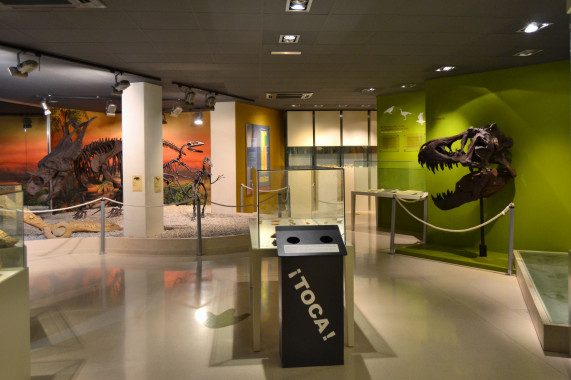 Museo Paleontológico de Elche