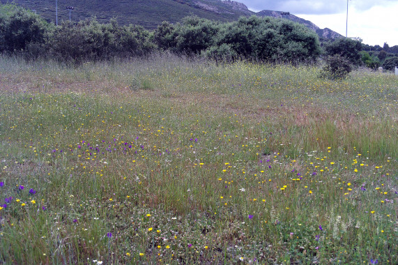 Dehesa Boyal de Puertollano Puertollano