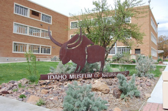 Idaho Museum of Natural History Pocatello