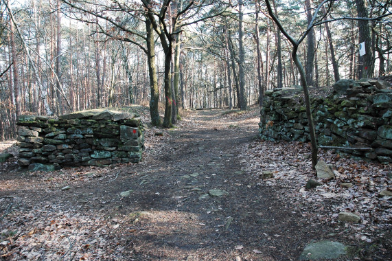 Heidenlöcher Deidesheim