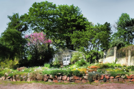 Jardín Botánico de la Universidad de Halle-Wittenberg