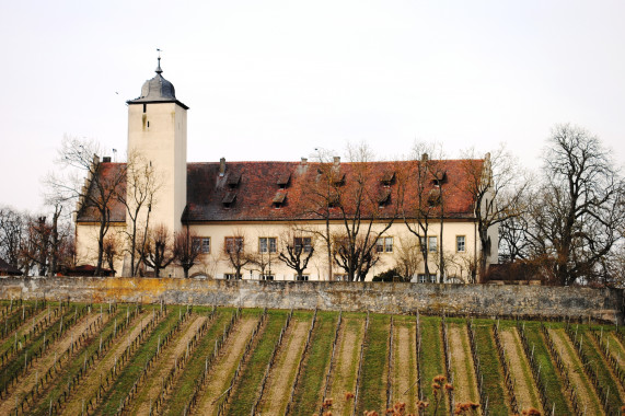 Burg Hallburg Volkach